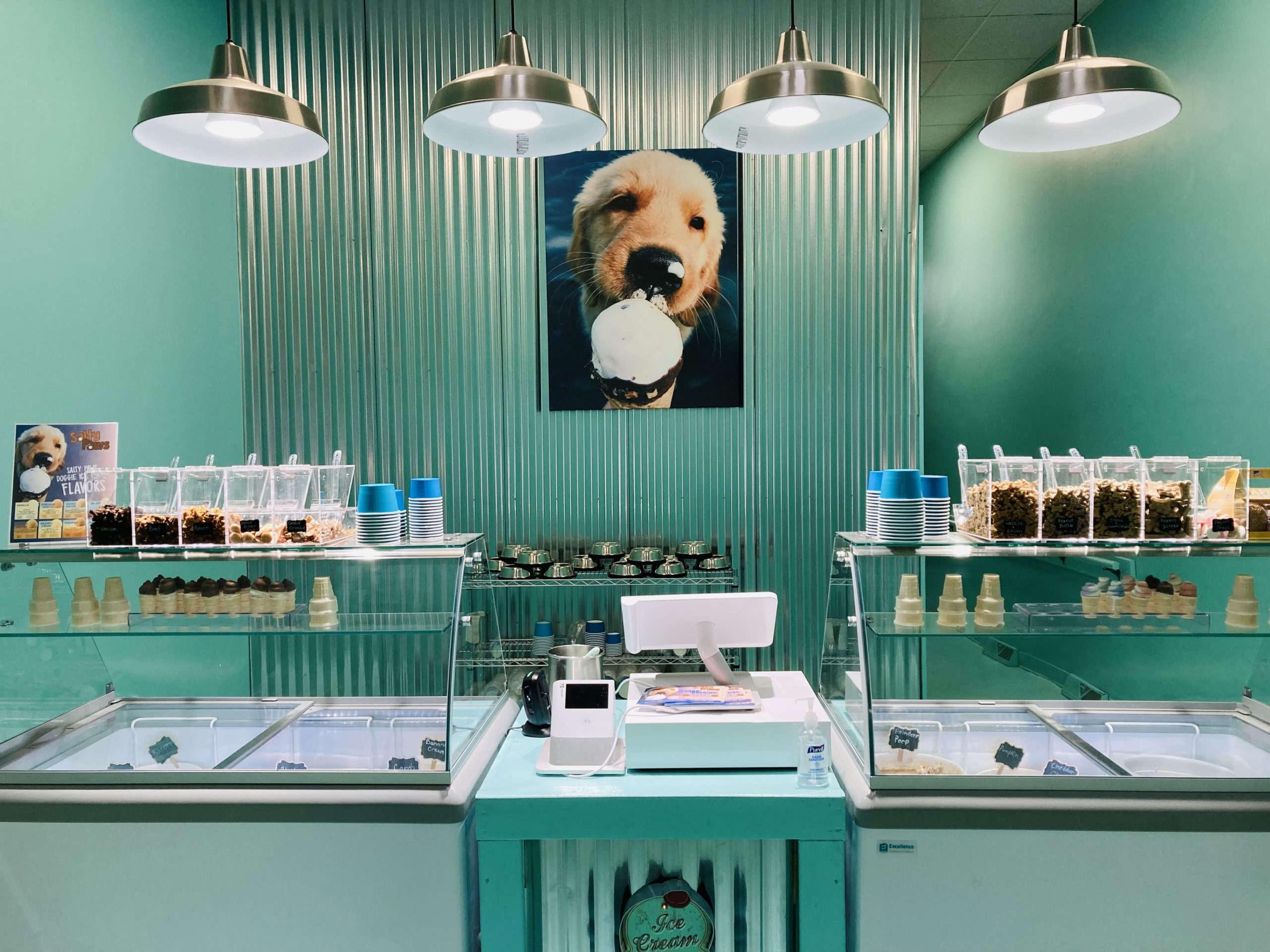 Dog ice shop cream places