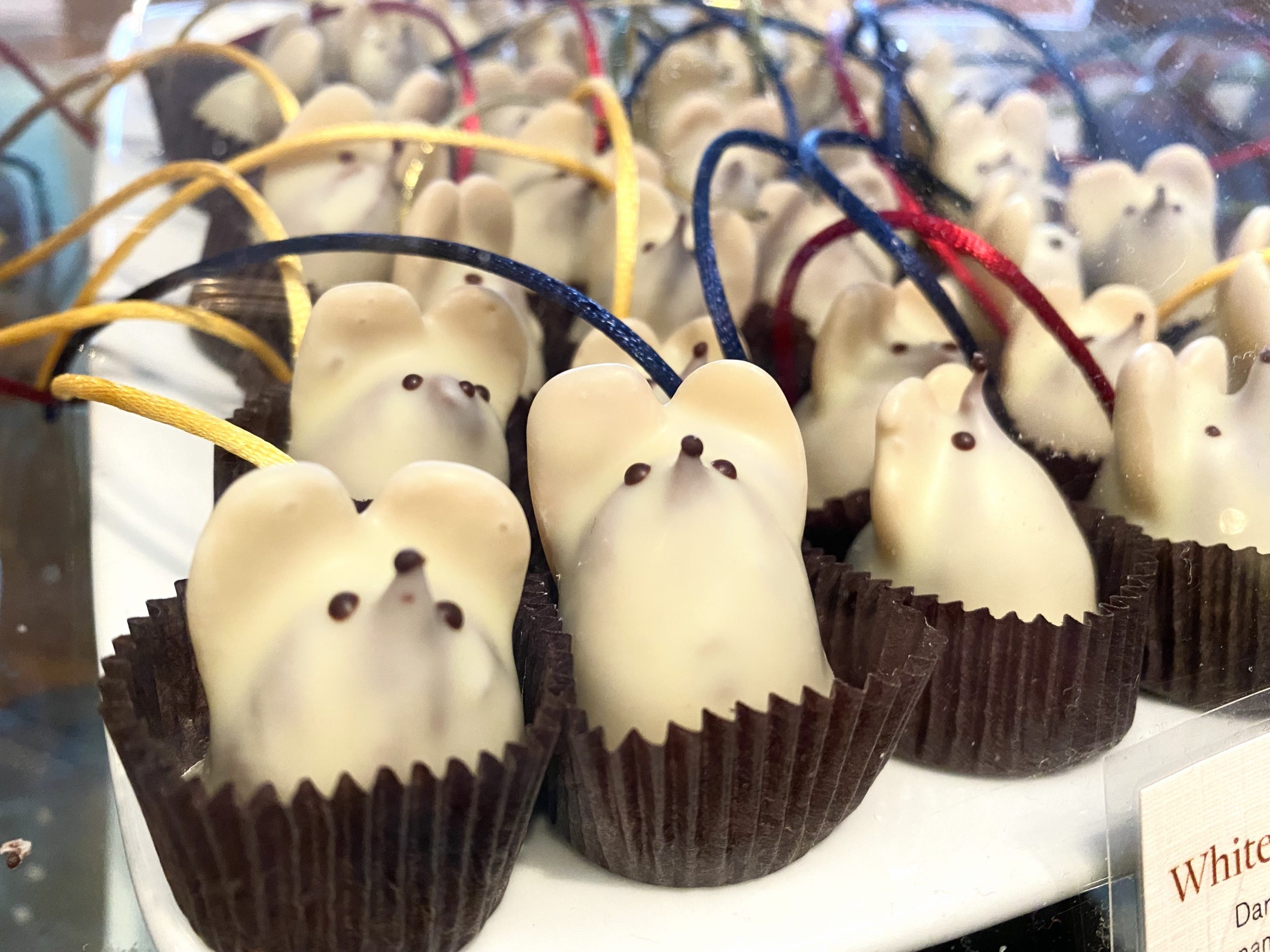 Gourmet chocolate boston deals