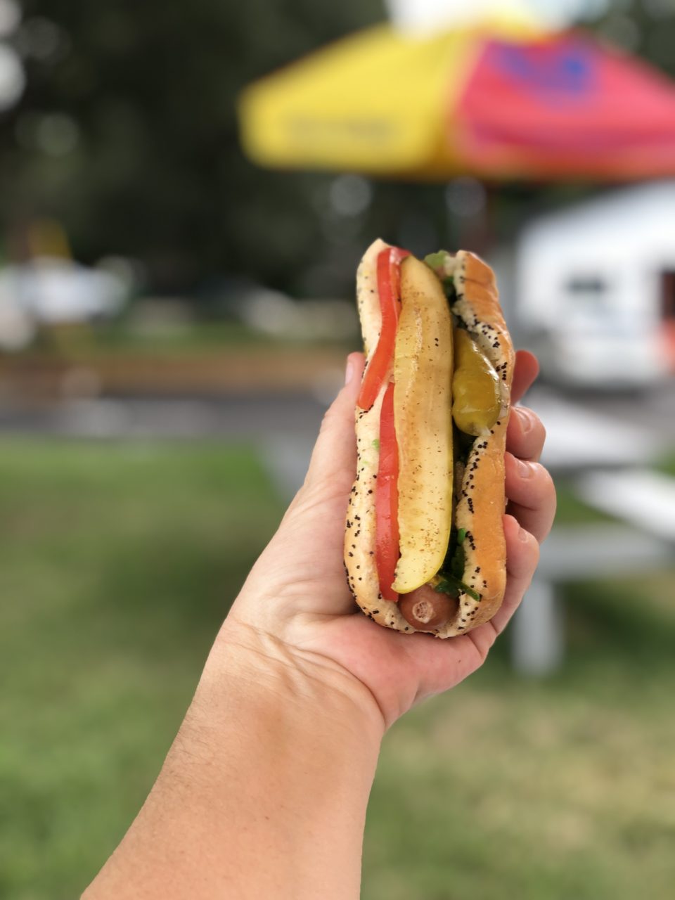 Os Melhores Hot Dogs Prensados 🌭de Orlando estão no MrBurdog. Do