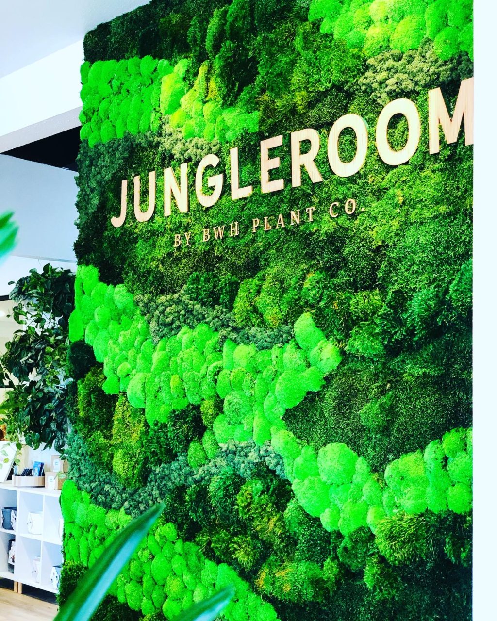 jungle room plant shop orlando 