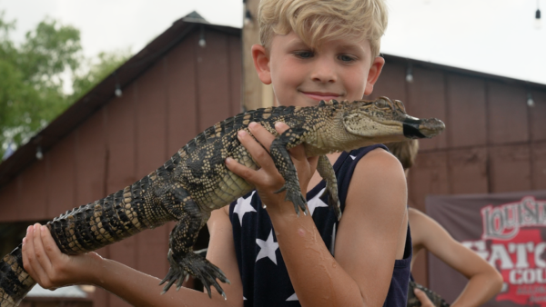 Very Local Boy with an alligator