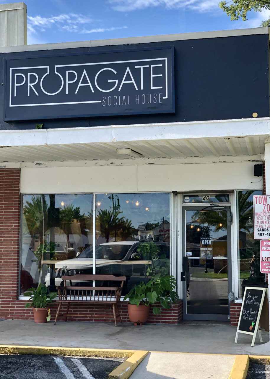 Propagate Social House plant shop orlando 
