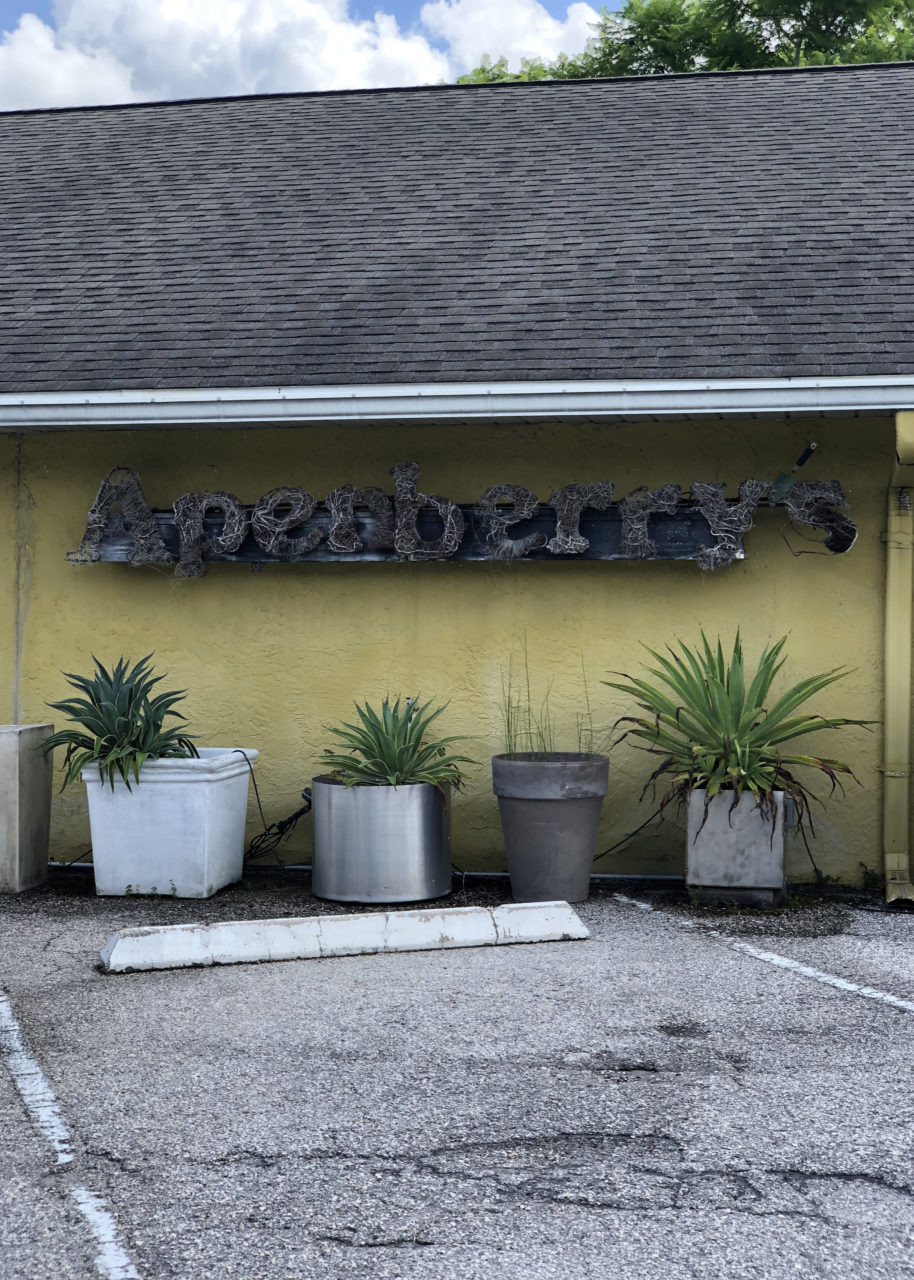 Apenberry's Orlando