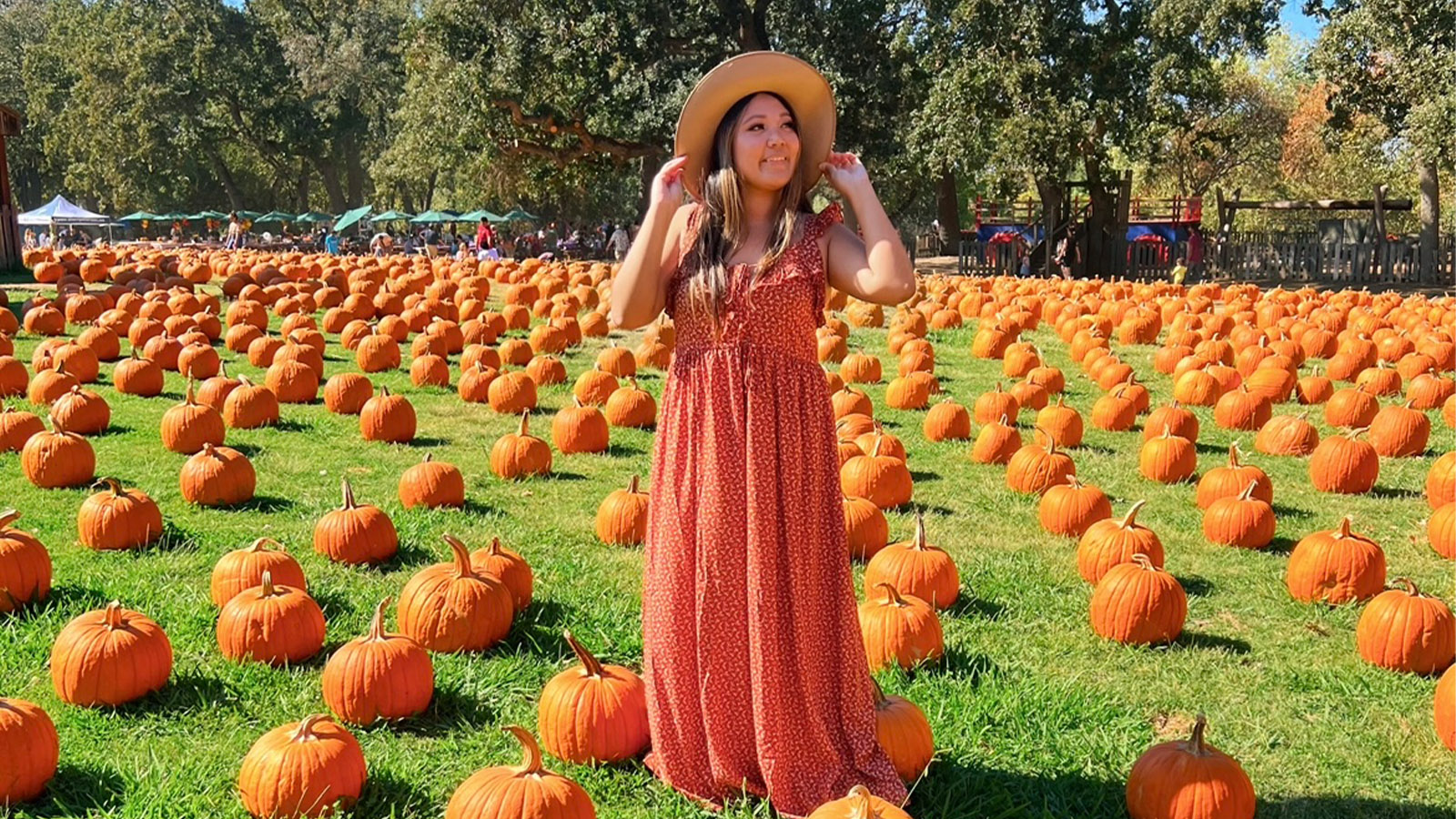 sacramento pumpkin patches