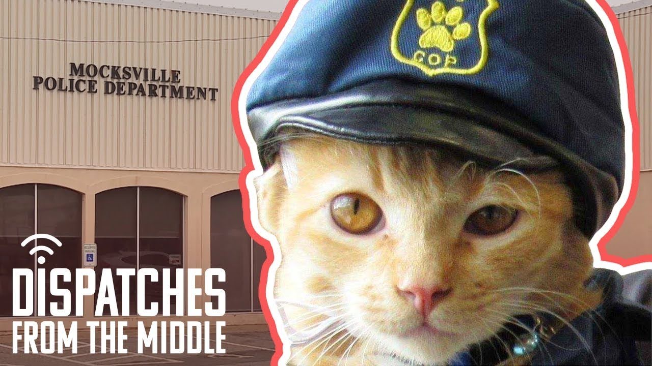 Sarge Butters Police Cat