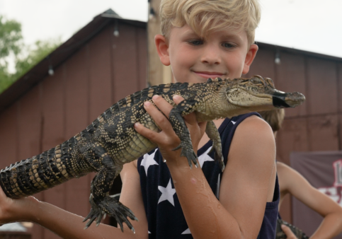 Very Local Boy with an alligator