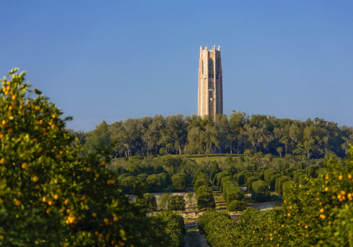 Bok Tower seen from nearby orange grove