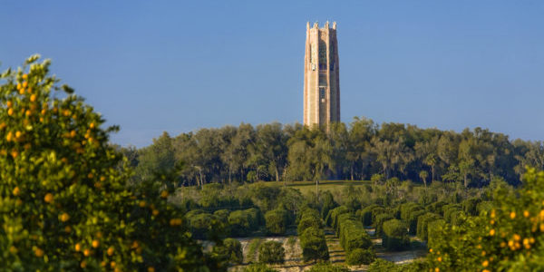 Bok Tower seen from nearby orange grove