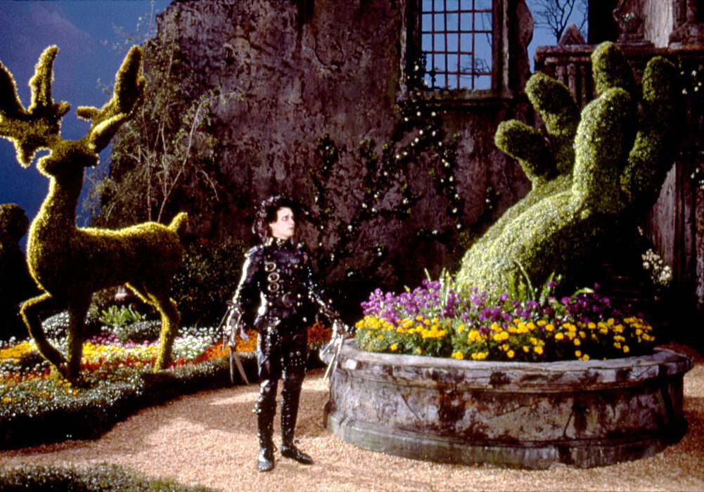 Edward Scissorhands