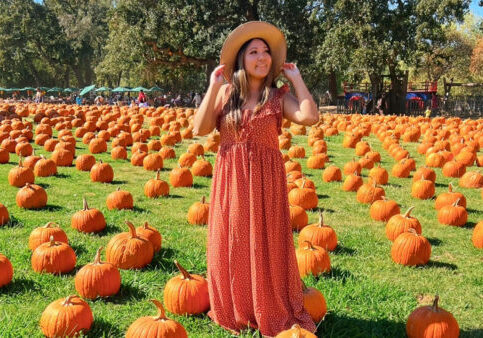 sacramento pumpkin patches