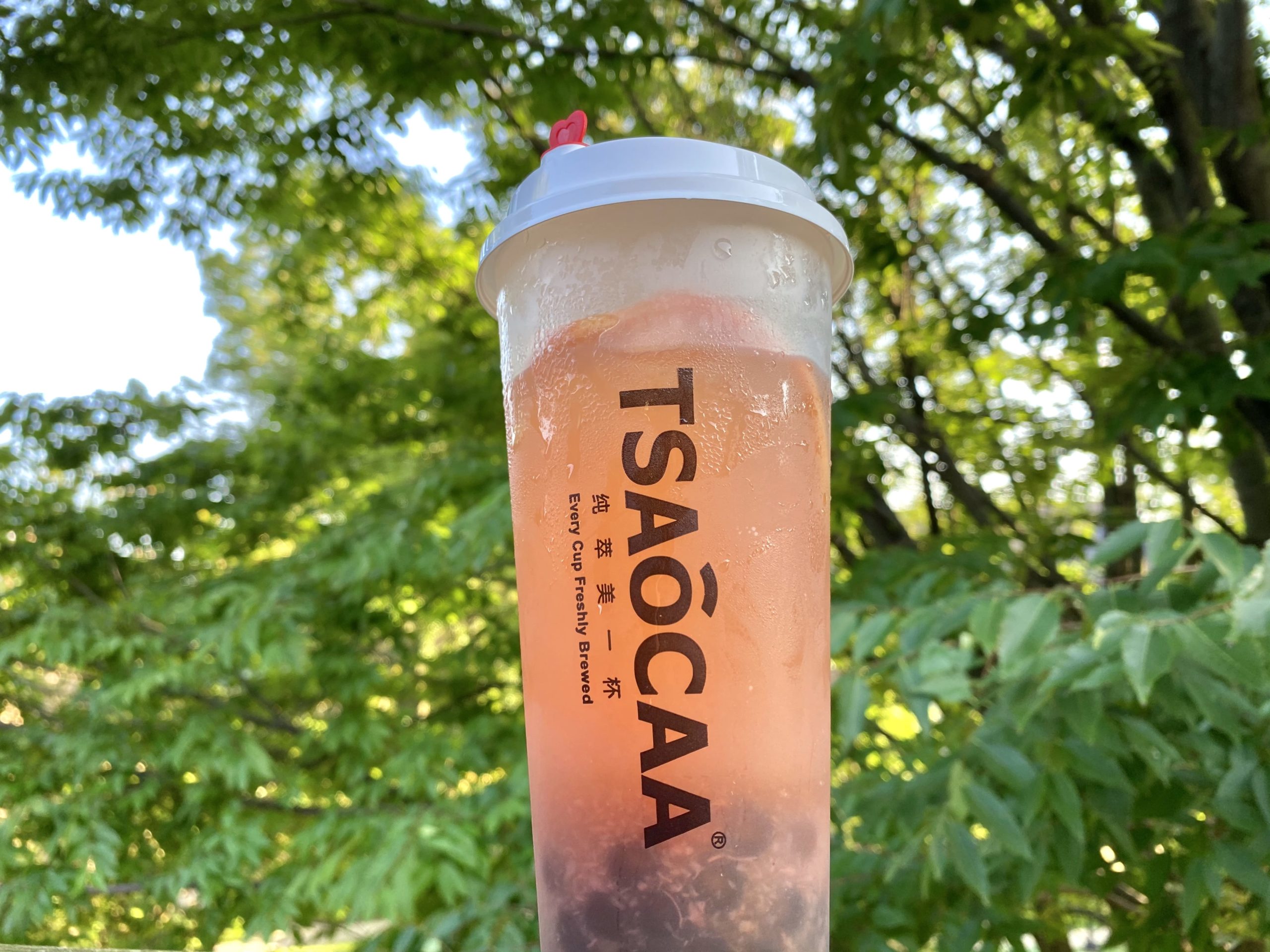 Tsaocaa bubble tea