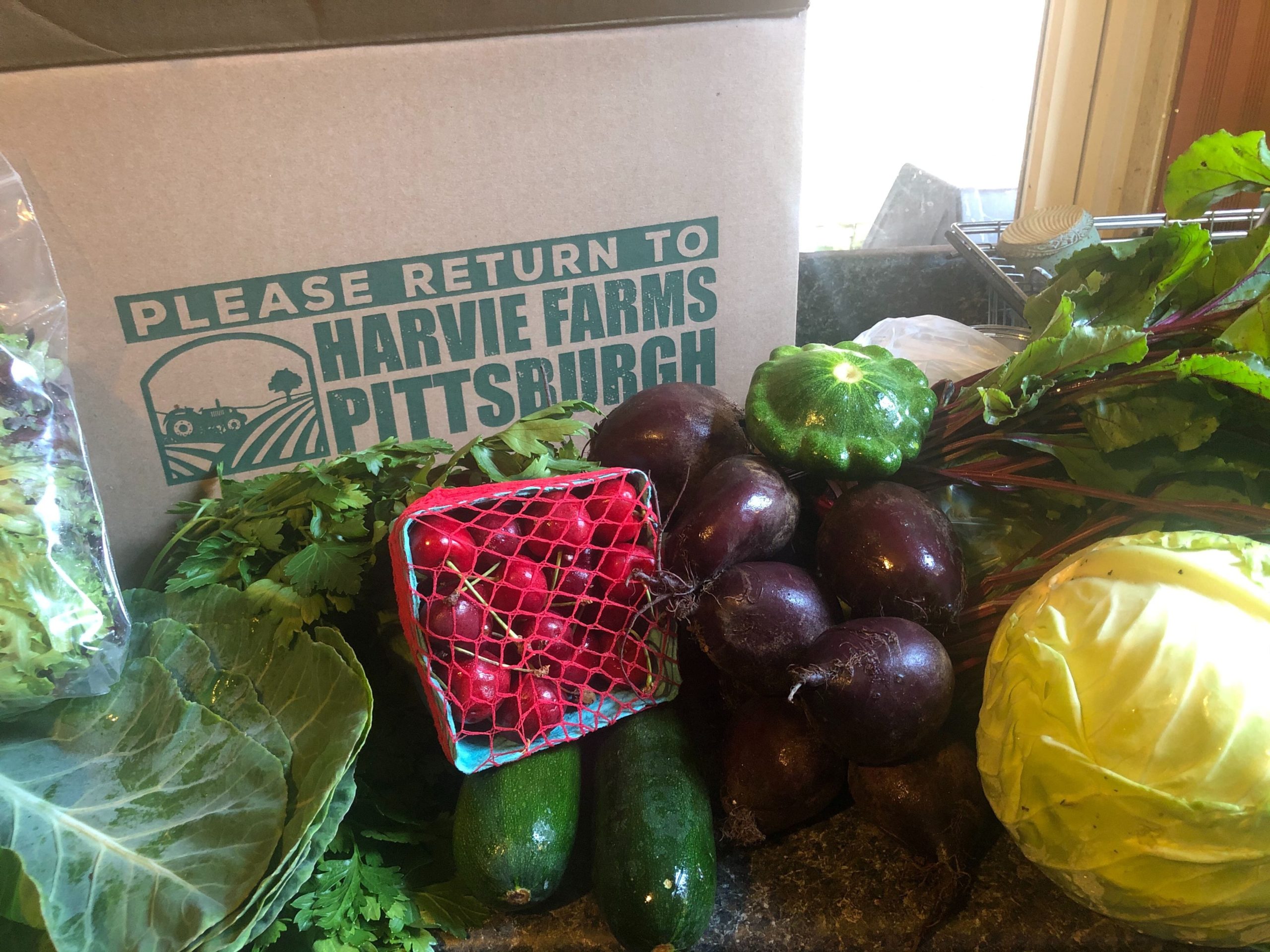 Harvie Farms Pittsburgh