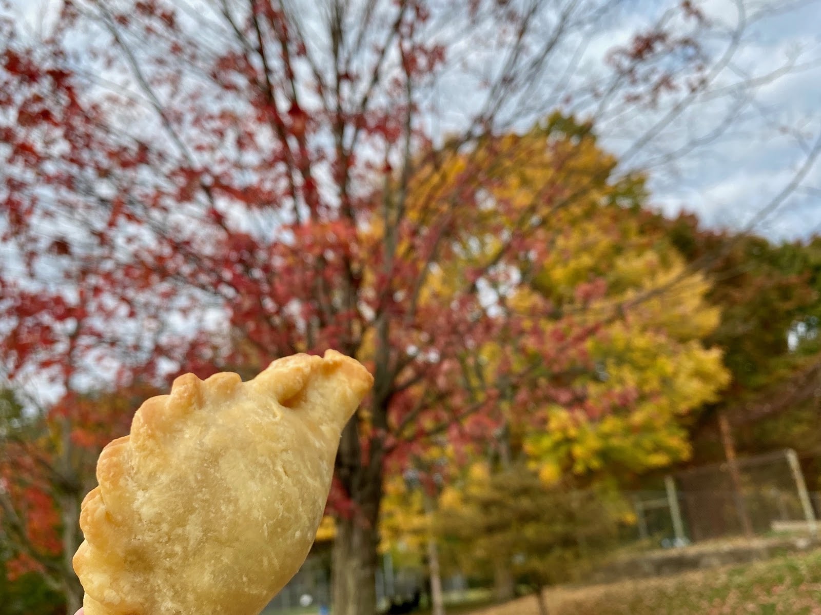 Mi Empanada