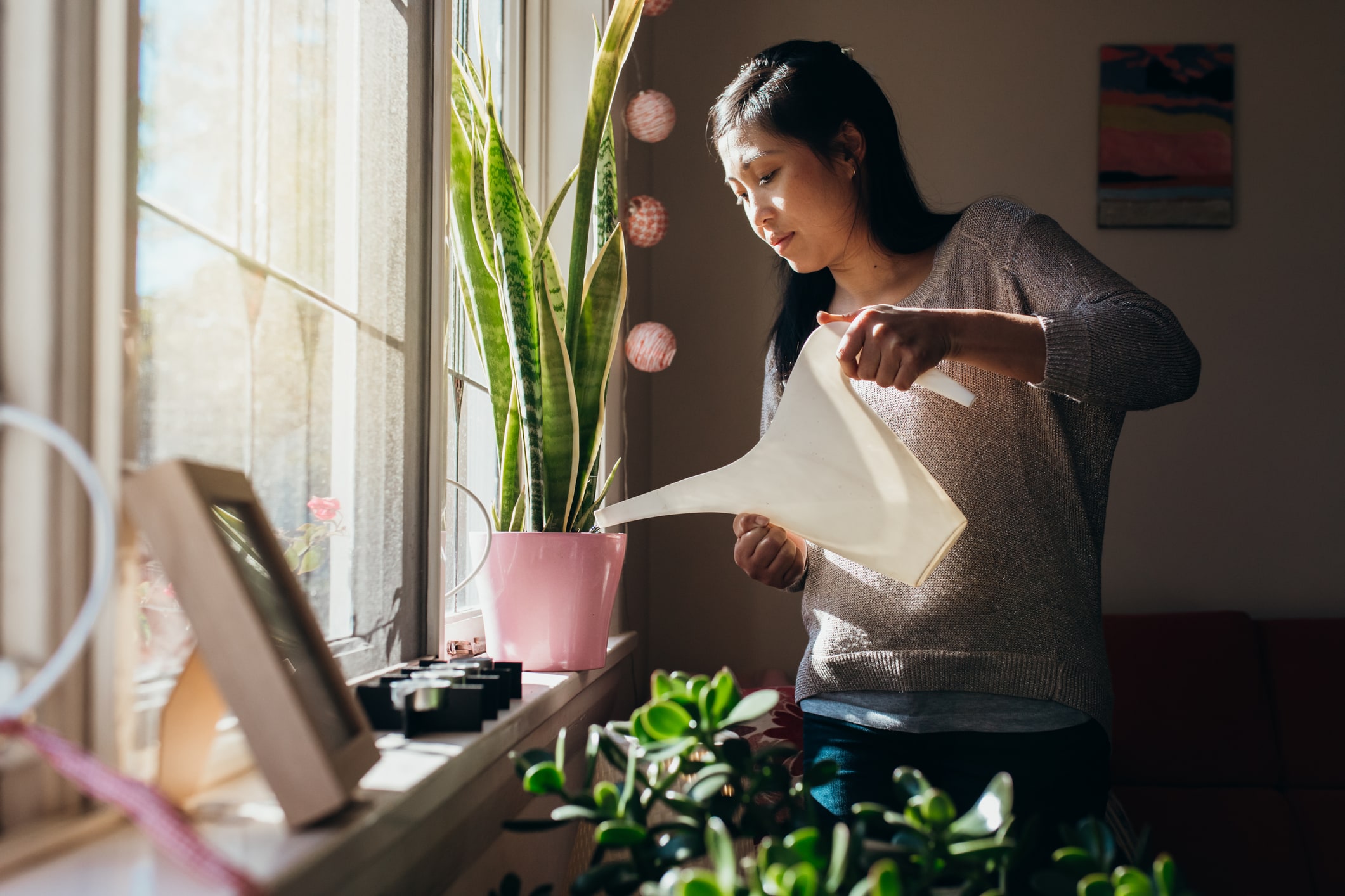 Australian Chinese woman waters the plants in her Sydney apartment
