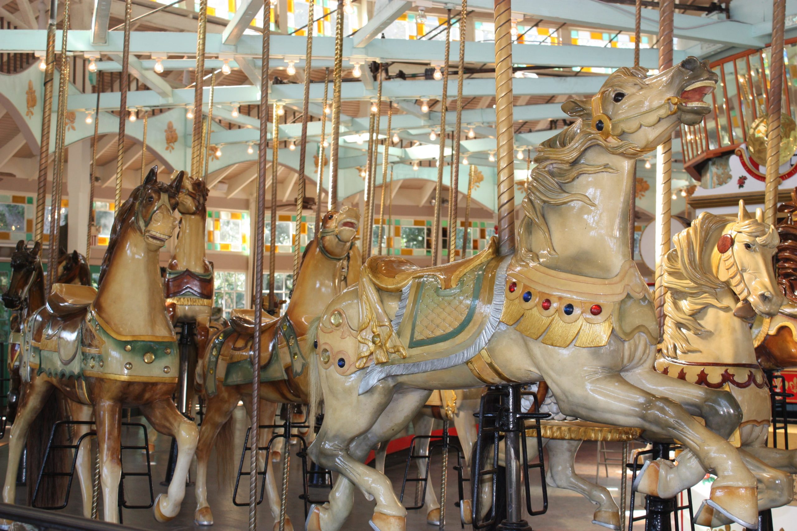 Carousel pictures 11 20 13 (47)