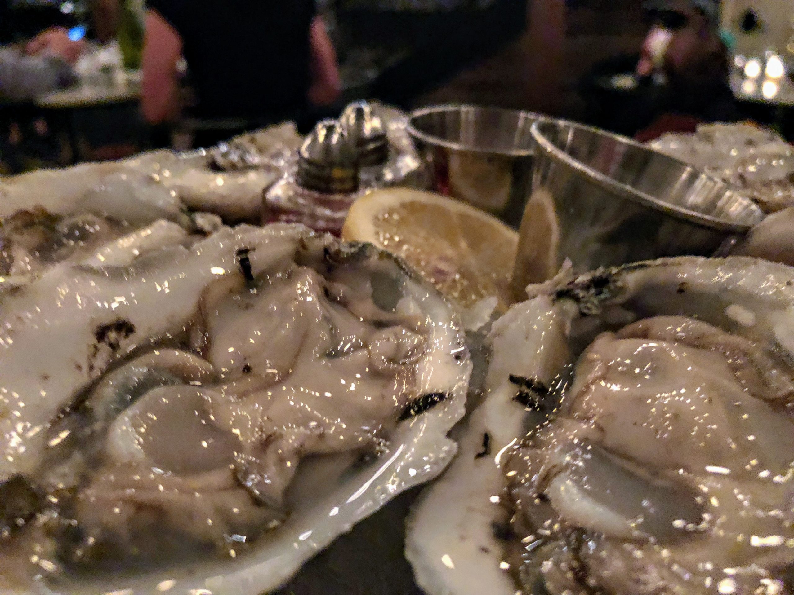 raw oysters