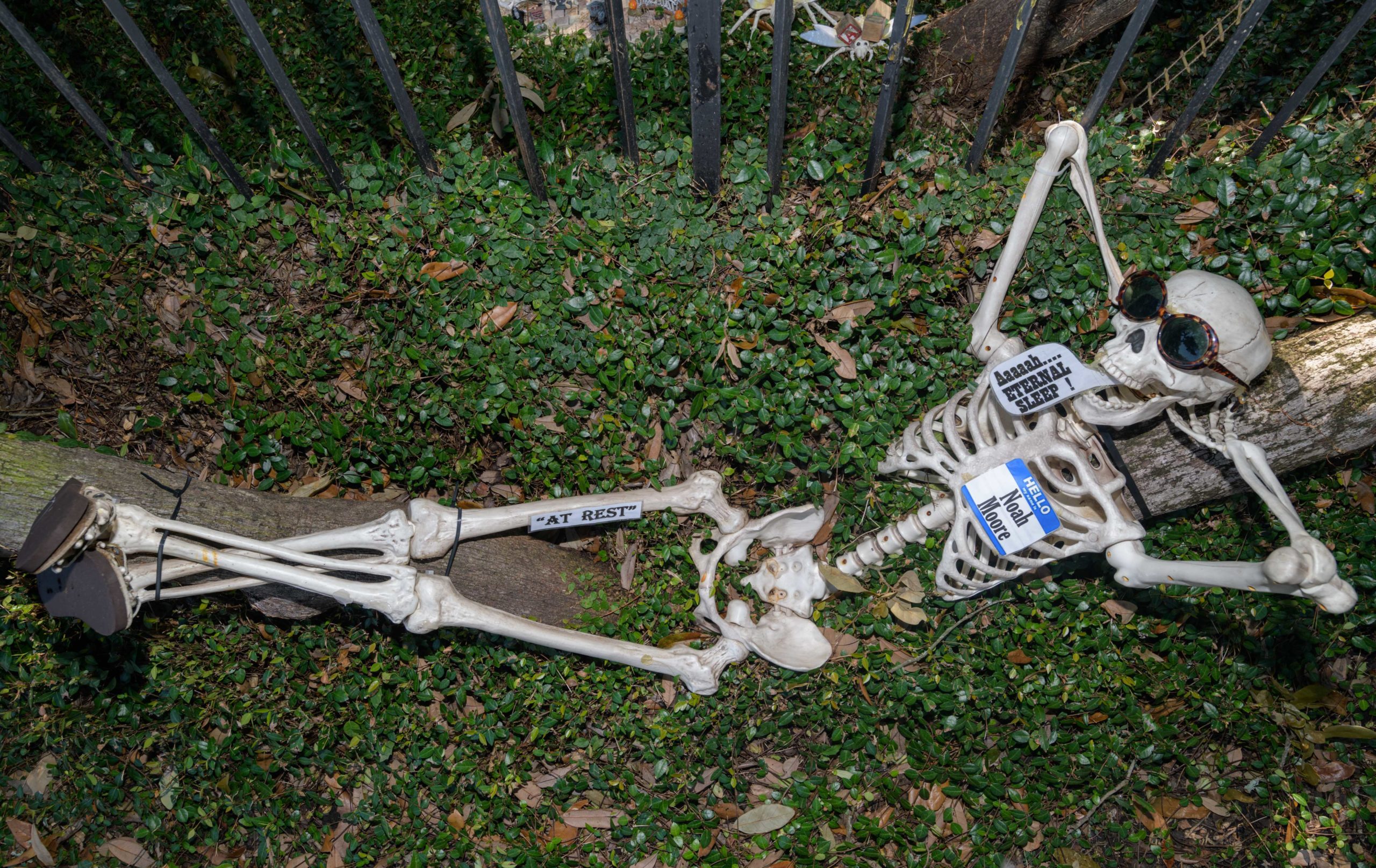 Louellen Berger sets up her annual parody skeleton garden on St. Charles Ave. and State Street in New Orleans on Monday September 30 and Tuesday October 1, 2019 with the help of Manuel Chacon. The pun-dead skeletons rib national and local celebrities and pop culture in an effort to tickle the funny bone. Berger hopes to have Dem Bones completed for viewing by later in the week and they will be on view through Halloween. She tends to keep the more colorful skeletons in the shade so they don’t fade in the sun. Once a few years back, Hurricane Nate was initially forecast to come through the area and she was on the fence on whether or not to take the display down for the storm. A family member suggested it won’t be good for recovery efforts after a storm for a random skull to be found in somewhere else in the city, so she took them down. Fortunately, the storm passed without incident. She says her grandchildren help come up with some ideas and the puns and funny sayings help the younger children learn language and idioms. Photo by Matthew Hinton