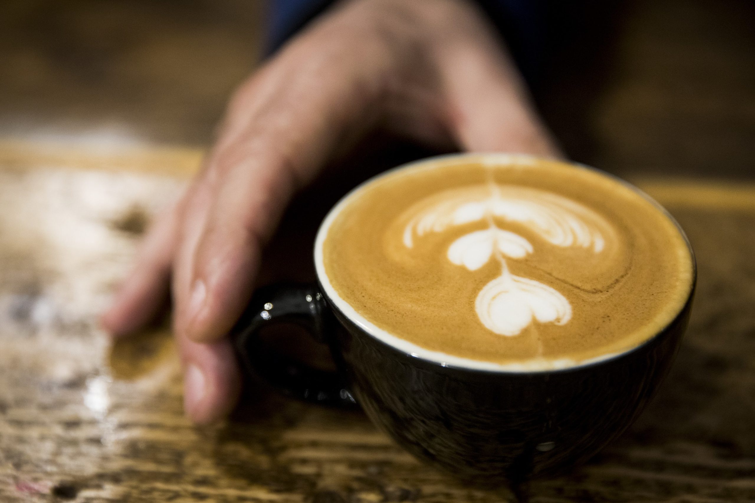 LONDON, ENGLAND - APRIL 12:  Latte art designs created at the Arla Organic Farm Milk Latte Art Throwdown at The Gentlemen Baristas on April 12, 2017 in London, United Kingdom. Arla Organic Farm Milk celebrates UK Coffee Week by holding its first ever latte art throwdown competion.  (Photo by Tristan Fewings/Getty Images)