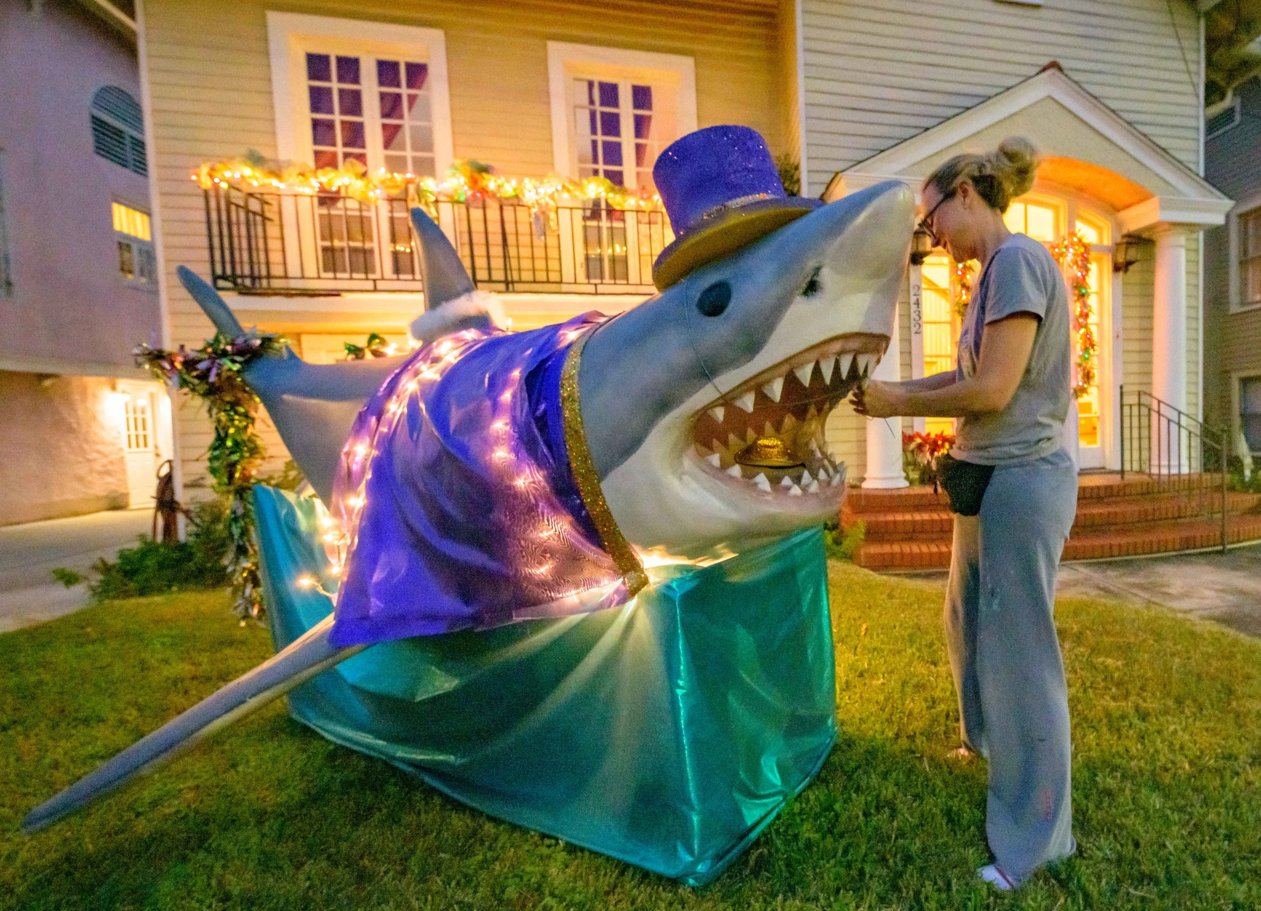 Knock, knock . . . whos there? Well its a land shark of course. Just when you thought it was safe to go back in the water, a shark appears at 2432 Jefferson Street in New Orleans, Sunday, Jan. 24, 2021.  Wishing everyone a Happy Mardi Jaws, Melanie Maxey decorates a shark with a magicians outfit so it can join the pet parade of the Mystic Krewe of Sharkus, but its probably best to keep your pet pooch at least six feet away.  Maxey is also one of the sub-krewe captains of the satirical Krewe du Vieux, known for its lewd and hilarious floats parodying celebrities, politics, and pop culture. This year the theme is Krewe du Vieux Has No Taste referring to the symptoms of losing taste and smell form COVID-19. The Krewe has a virtual parade on January 30 with some temporary art installations but note the parade is for an adults-only audience. A map is available and links to the virtual parade at kreweduvieux dot org. Photo by Matthew Hinton