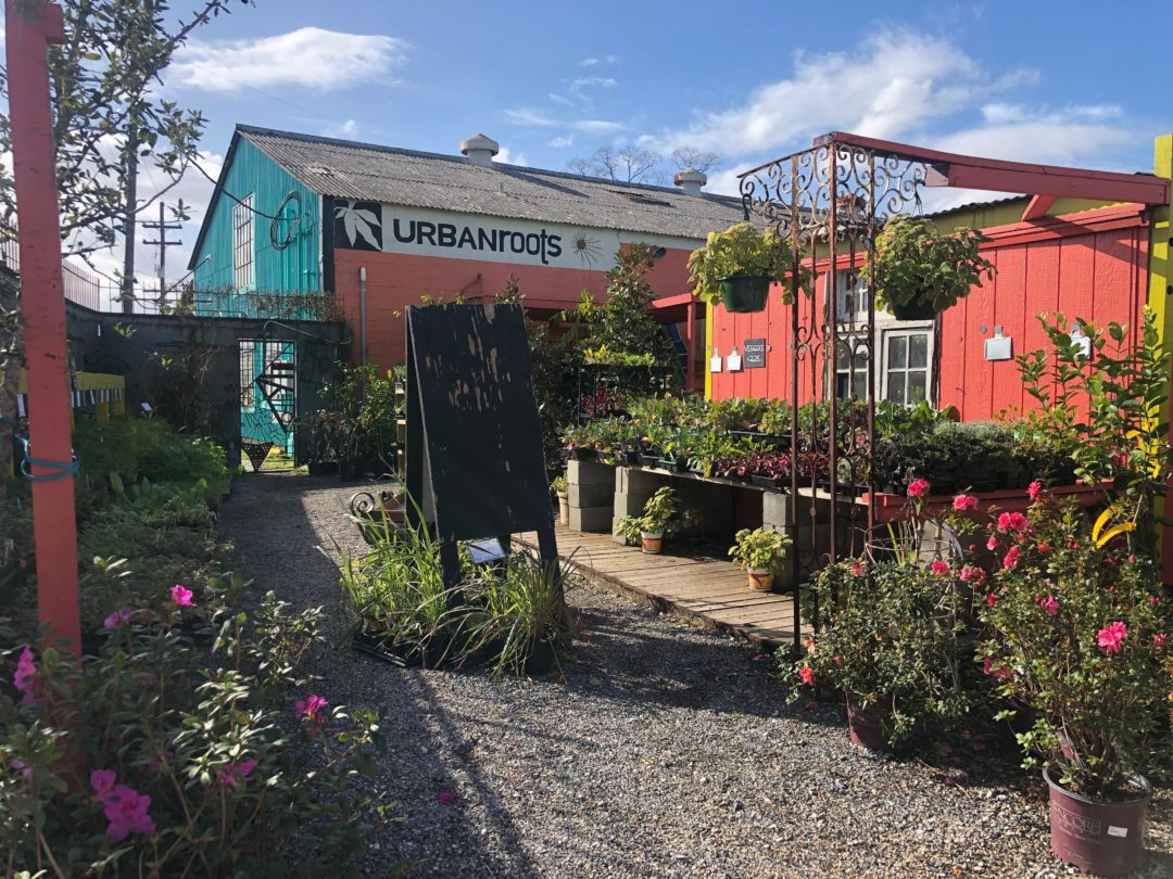 Urban Roots Garden Center