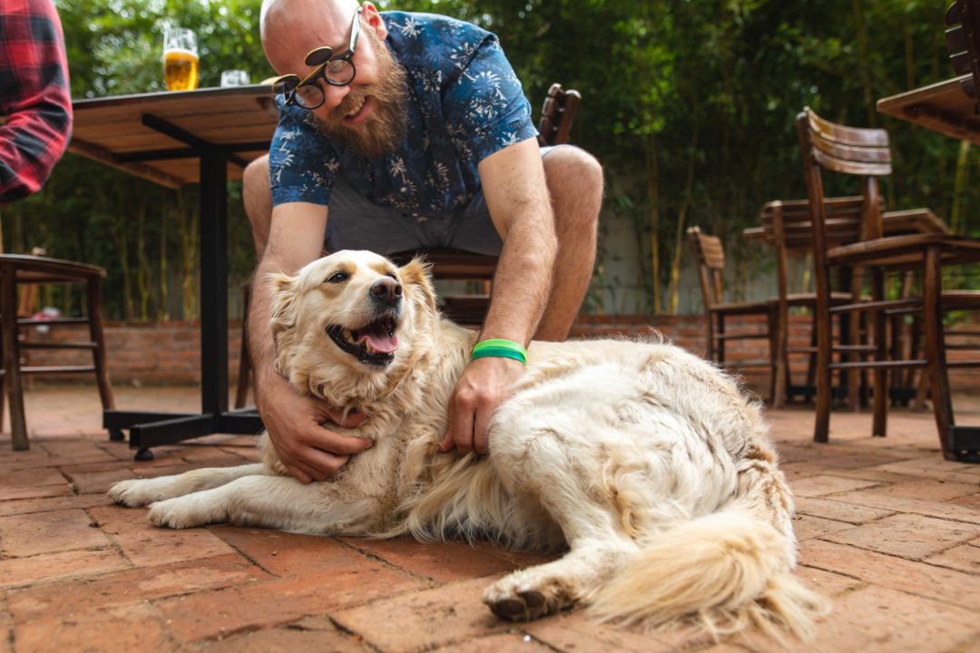 dog-friendly breweries