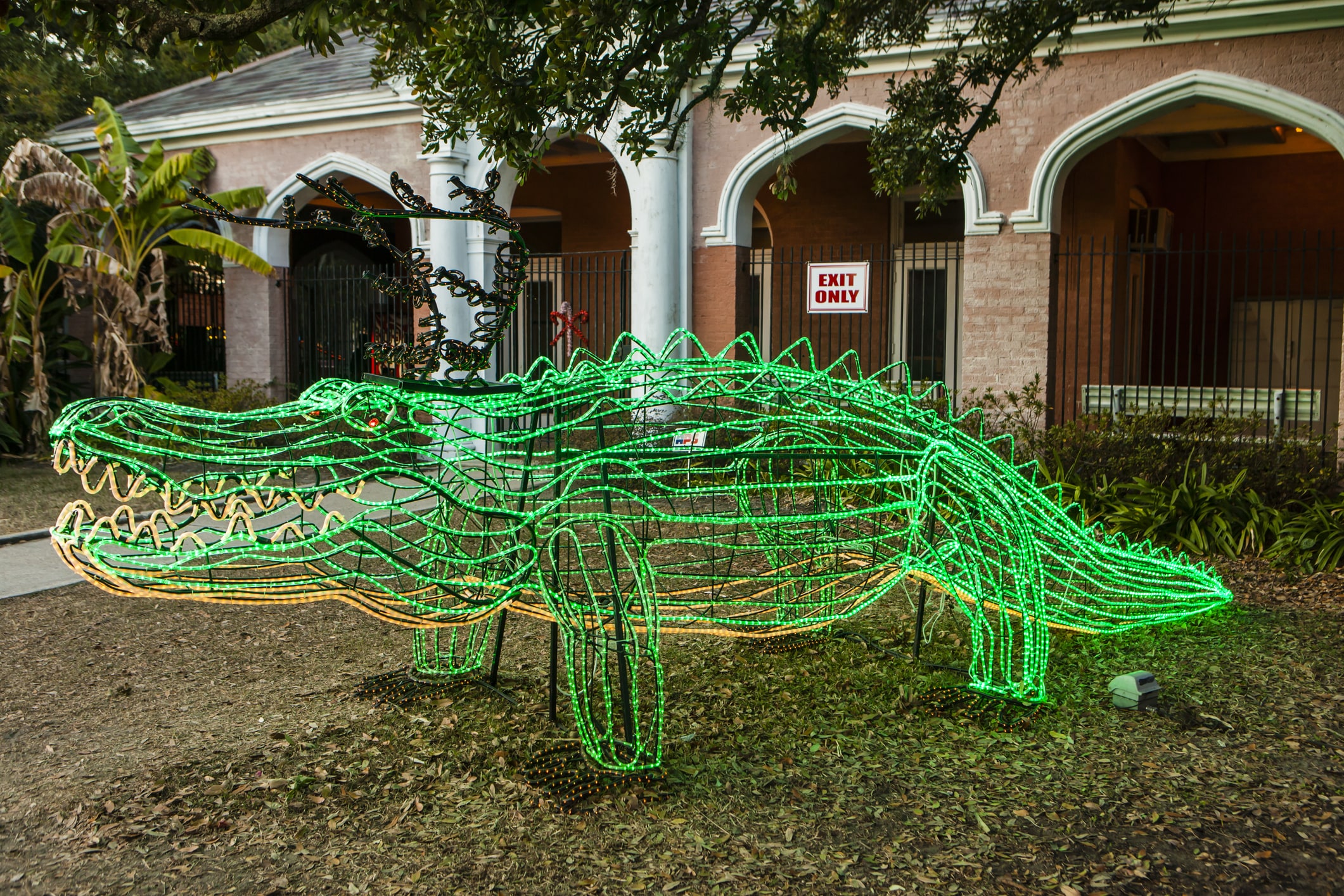 A Green Alligator made of lights for the Christmas light display at City Park, New Orleans.