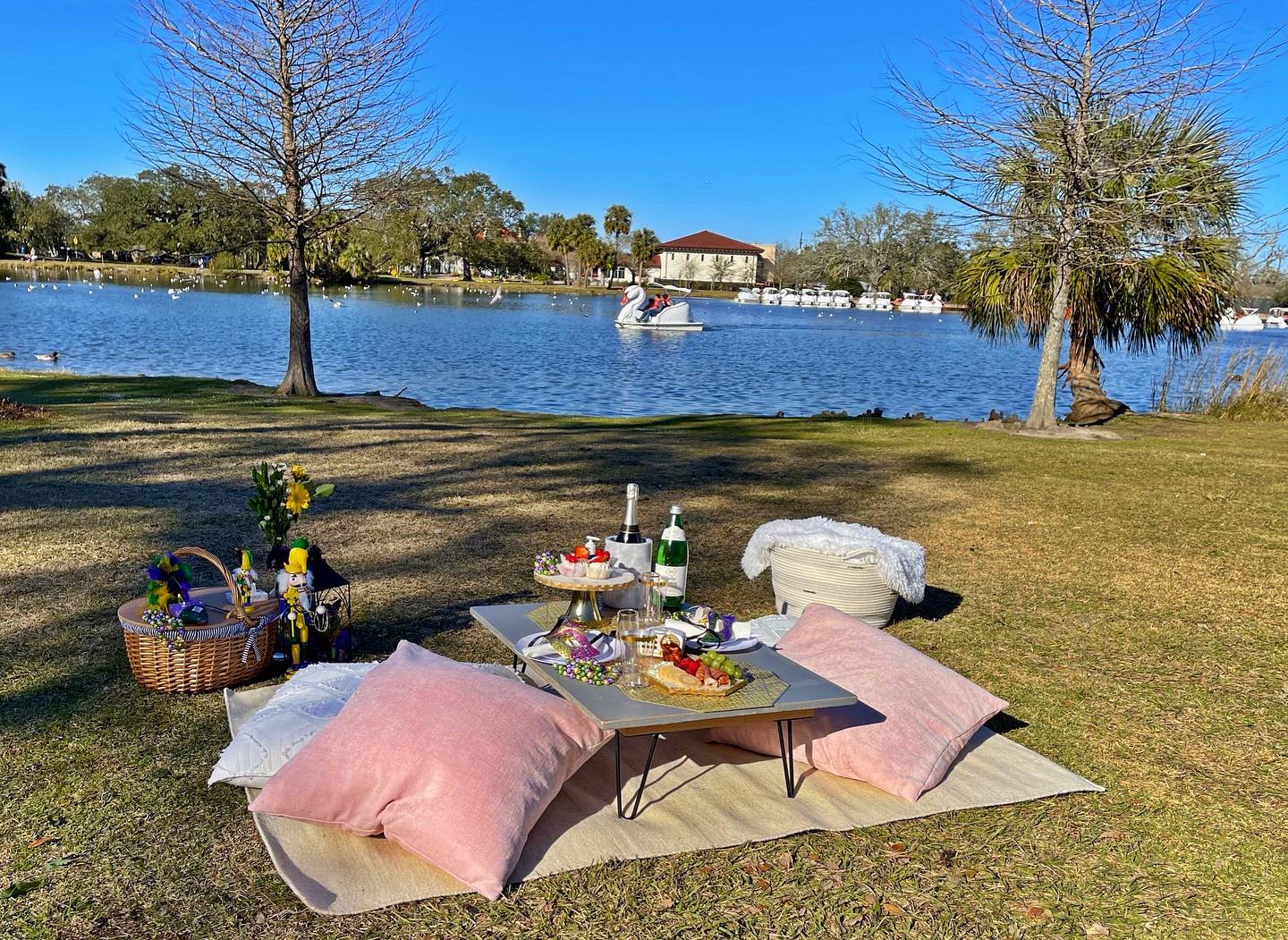 NOLA PopUp Picnic