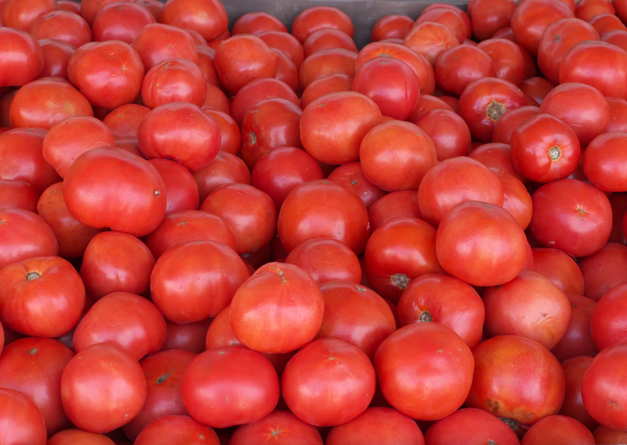Tomatoes at open market