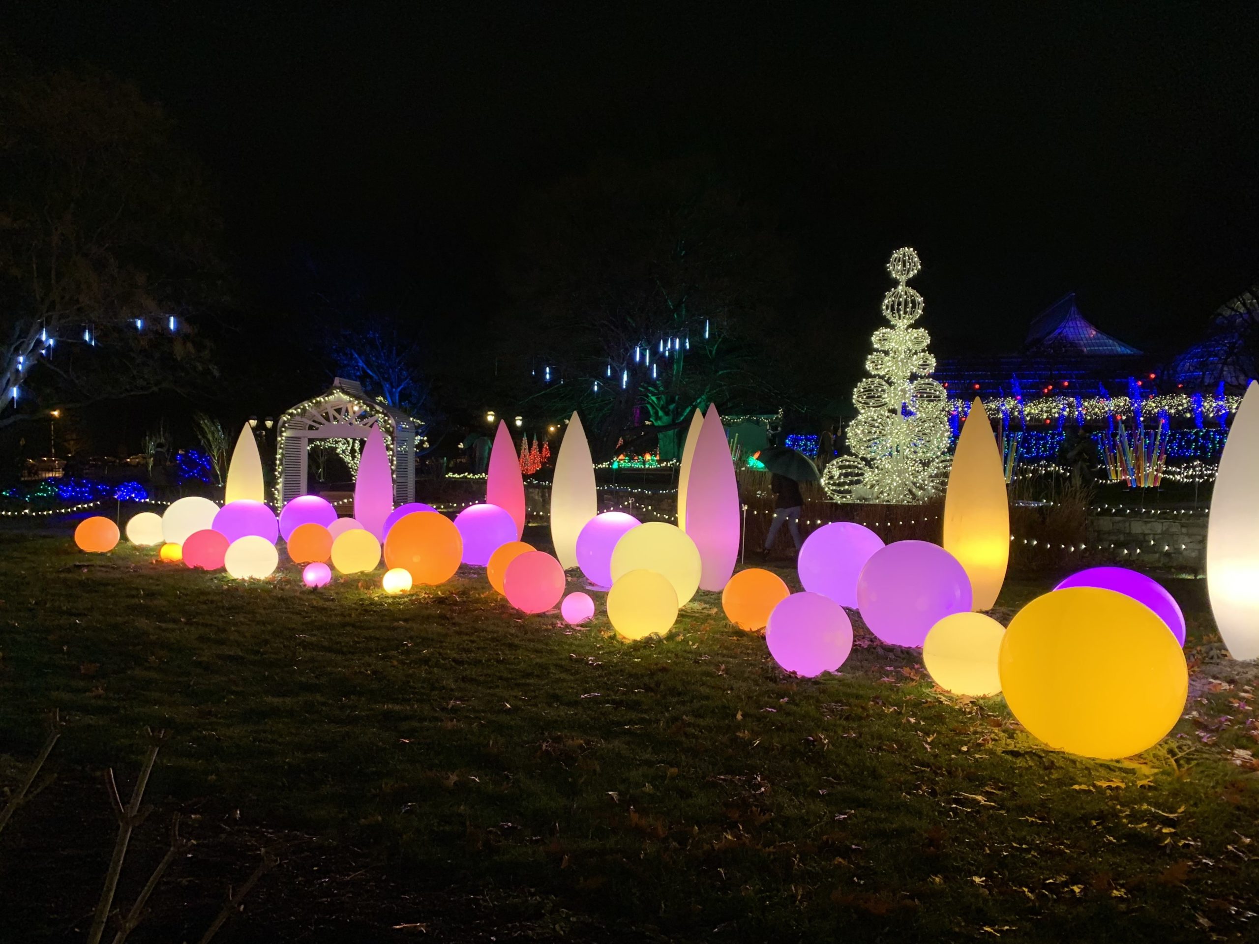 Phipps Holiday Light Show 2019