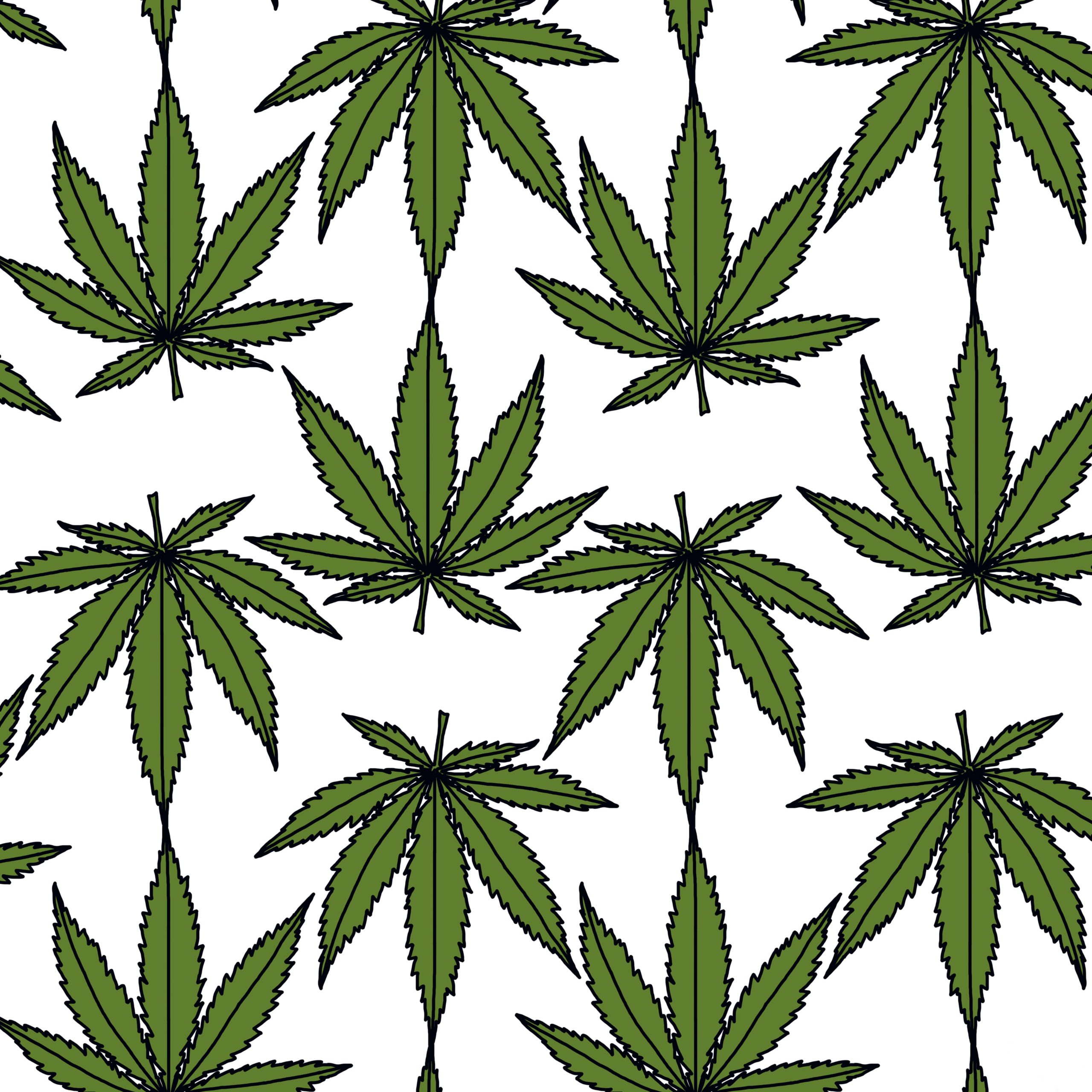 Illustration of Cannabis leaves, cannabis leaf, cannabis plant, pot leaf, weed, medical marijuana, cannabis oil, marijuana herbal cannabis, cannabis sativa.