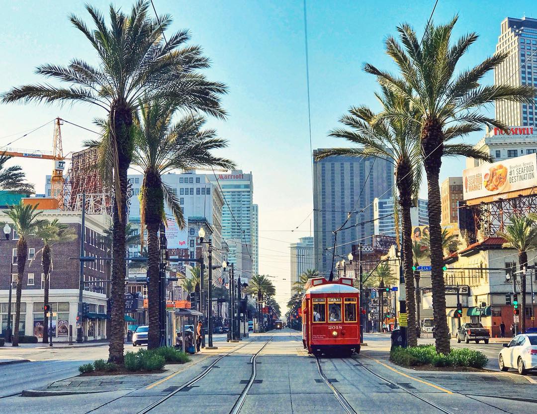 A shot of Canal Street from David Mora